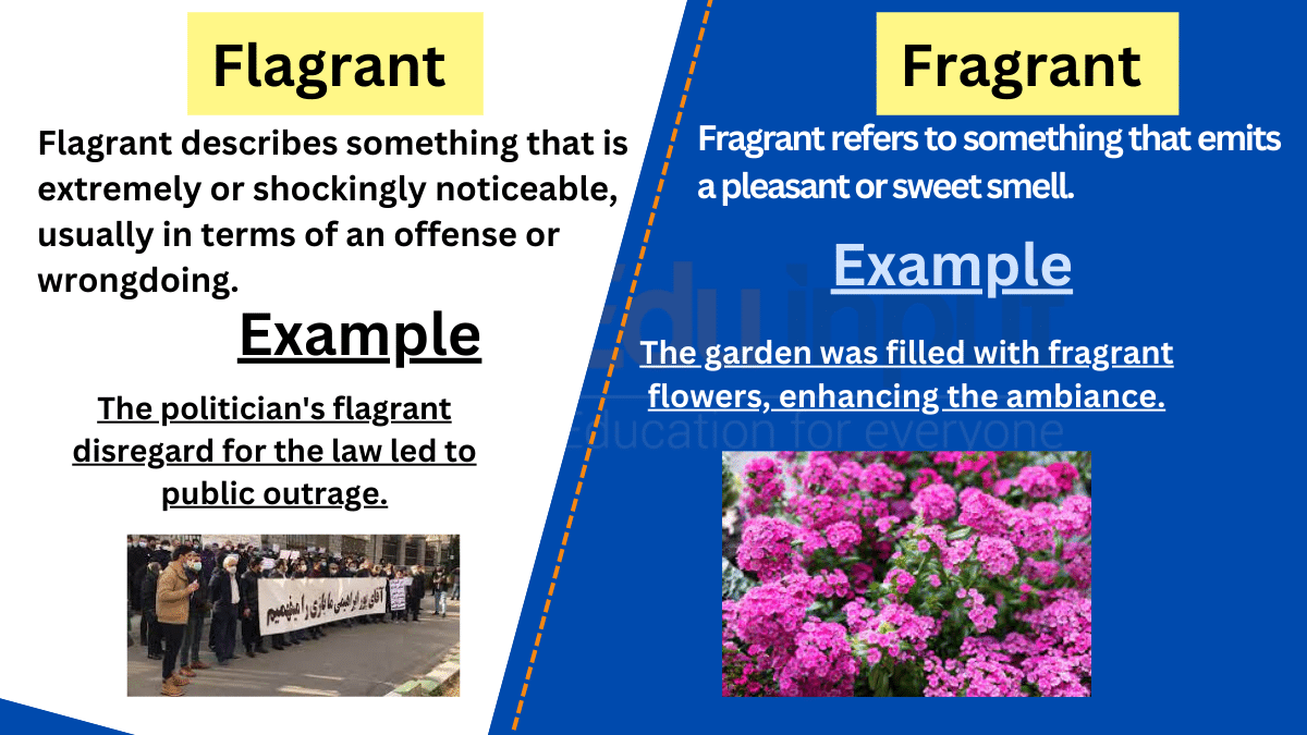 flagrant-vs-fragrant-difference-between-and-examples