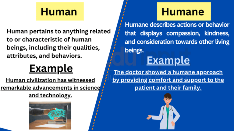 human-vs-humane-difference-between-and-examples