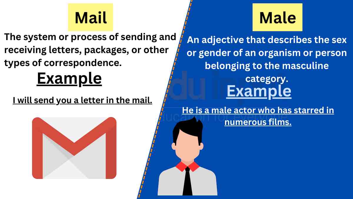 Mail Vs Male Difference Between And Examples