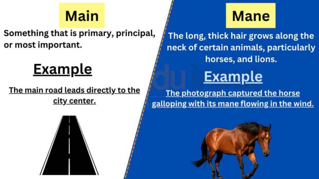 Main vs Mane-Difference Between And Examples