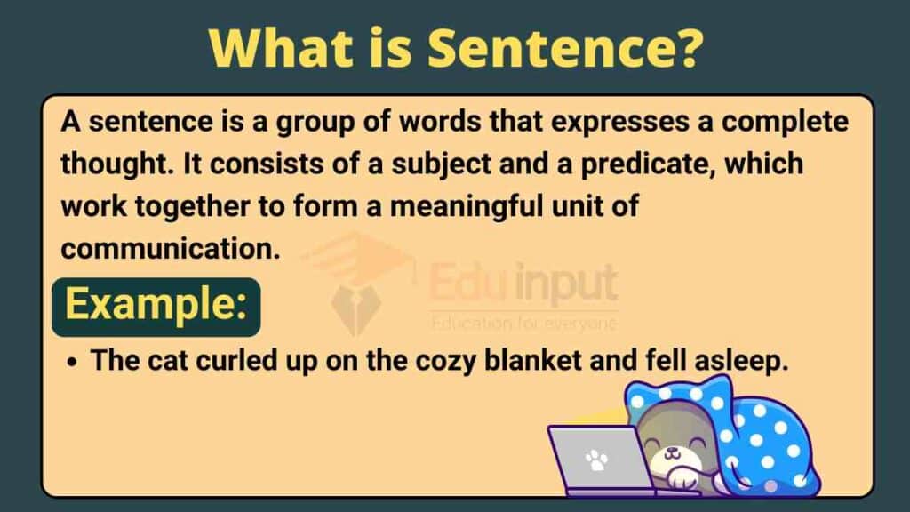 meaning of sentences essay