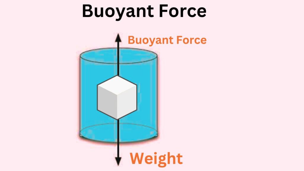 image showing the buoyant force