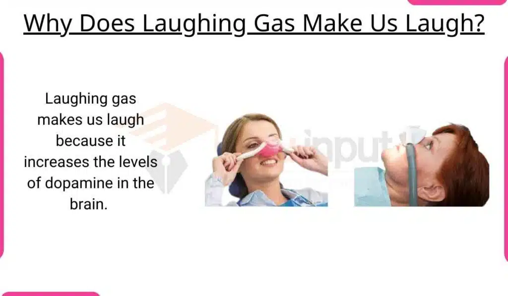 image showing Why Does Laughing Gas Make Us Laugh?