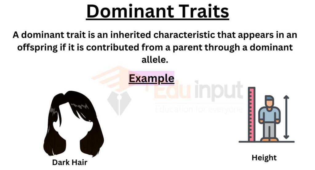 image showing definition of dominant in genetics