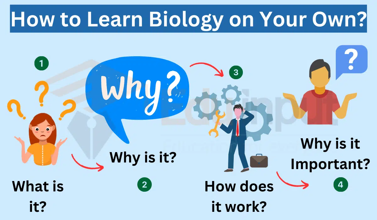 How to Learn Biology on Your Own?