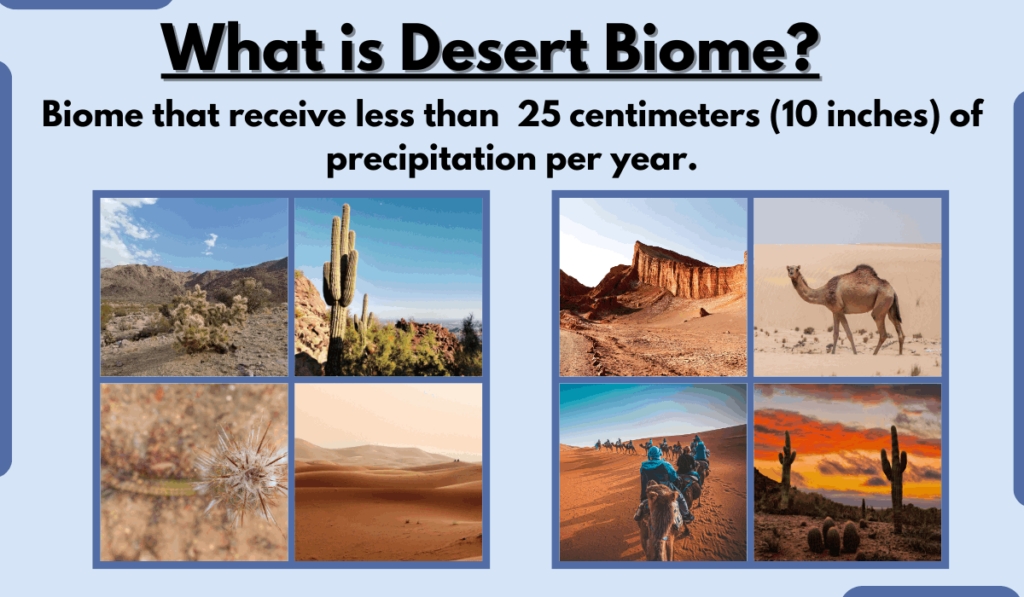 image showing what is Desert Biome and its different species