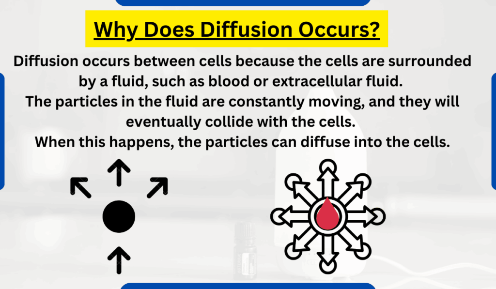 image showing Why Does Diffusion Occurs?