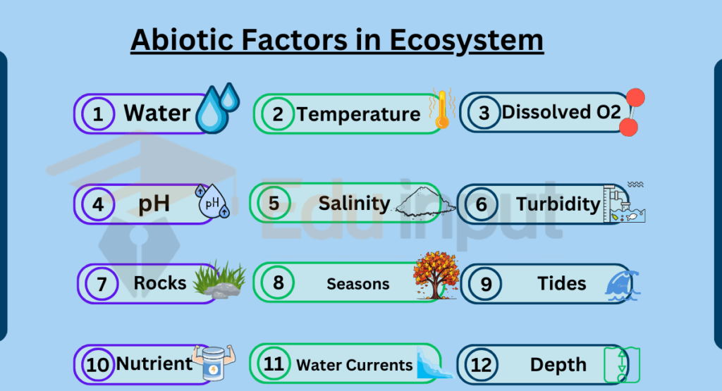 image showing Examples of Abiotic Factors in Ecosystem