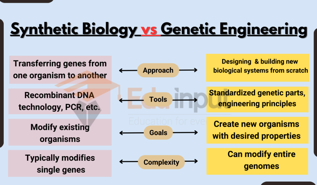 image showing Difference Between Synthetic Biology and Genetic Engineering