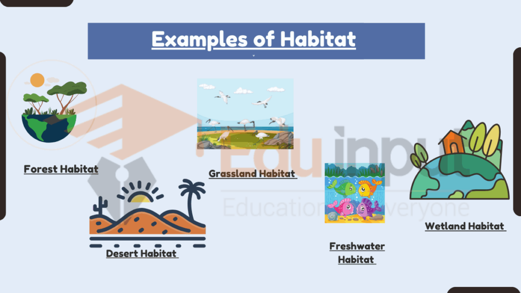 image showing Examples of Habitat