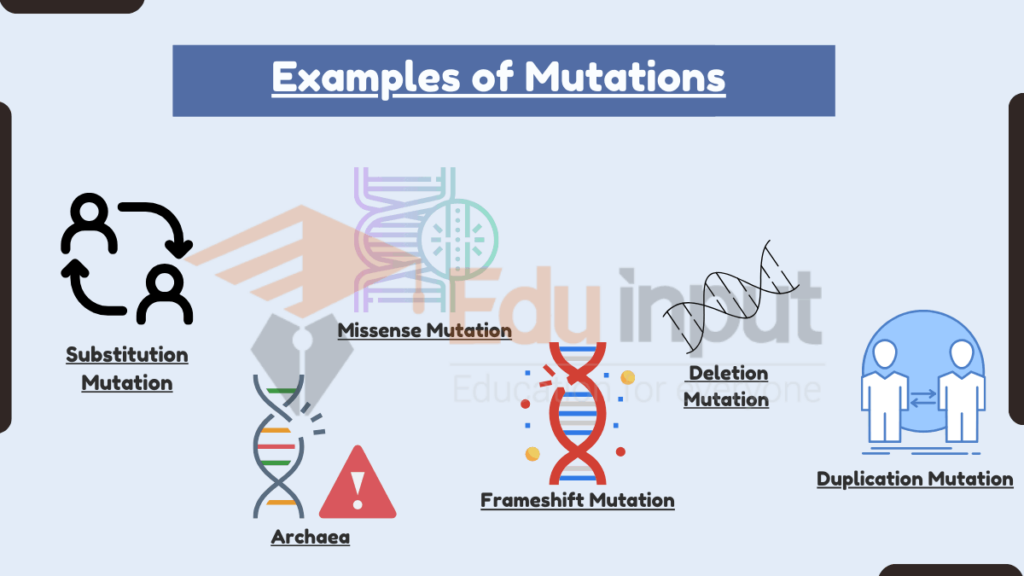image showing Examples of Mutations
