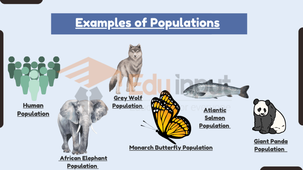 image showing Examples of Populations
