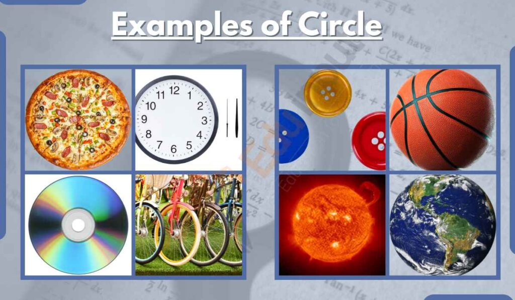 image showing the examples of circle