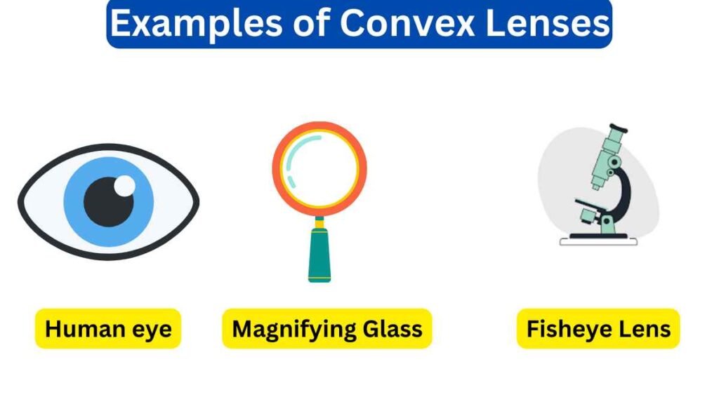 image showing the examples of convex lenses
