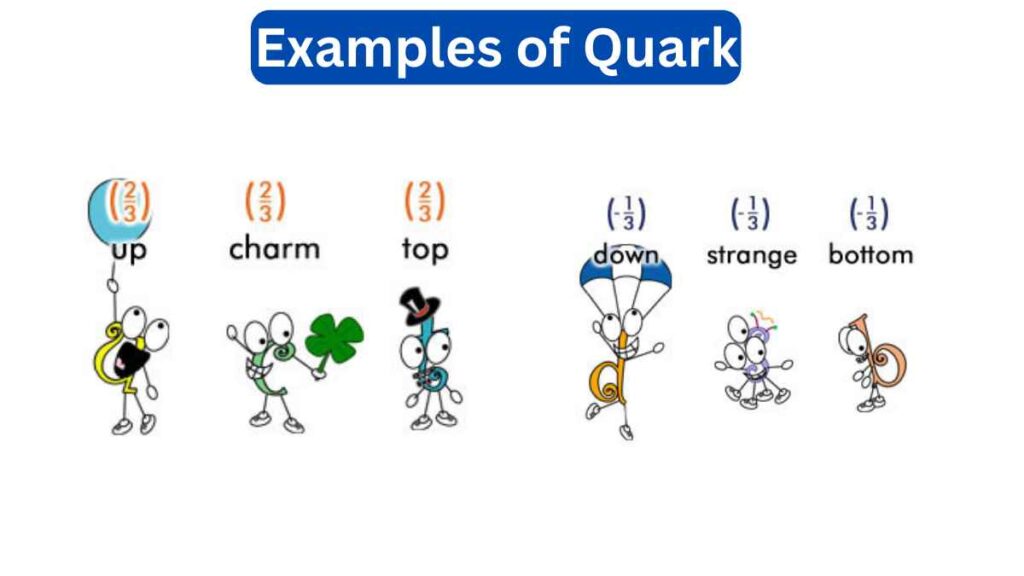 image of Examples of Quark