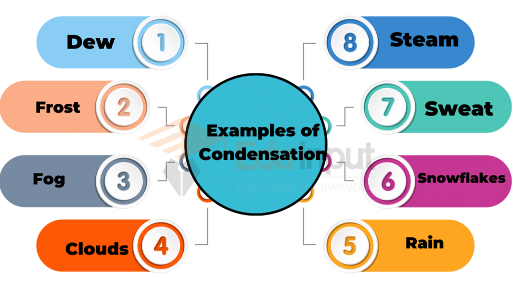 12 Everyday Examples of Condensation Explained