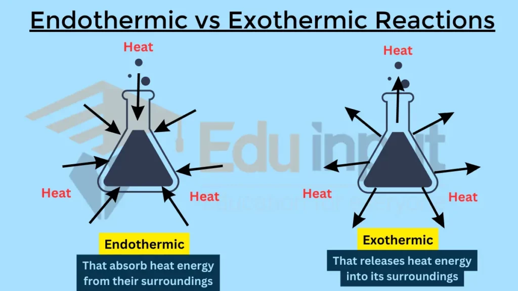 image showing Difference Between Endothermic And Exothermic Reactions