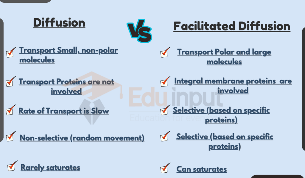 Image showing Difference between Diffusion and Facilitated Diffusion