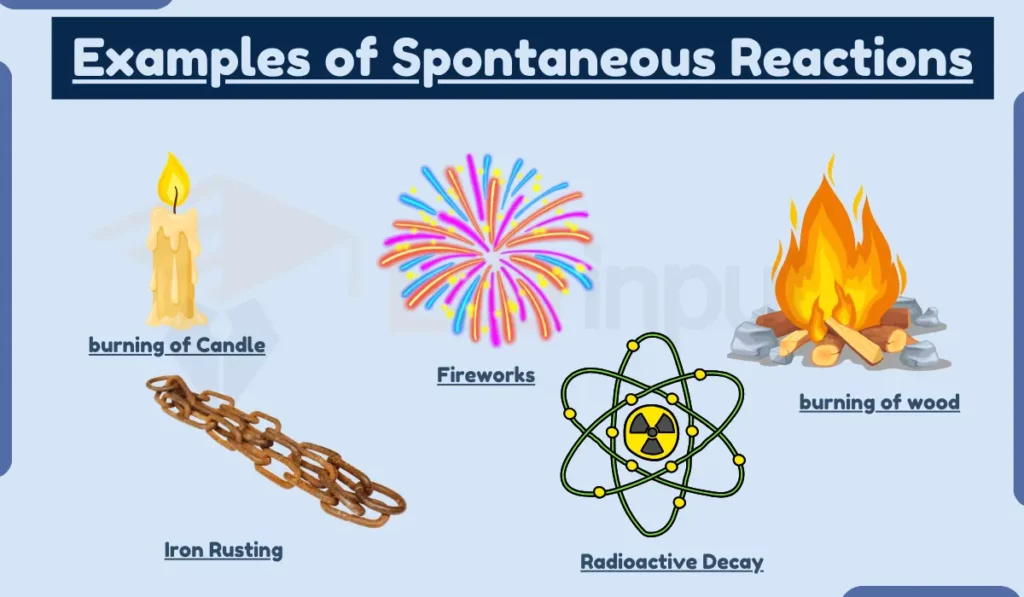 image showing Examples of Spontaneous Reactions