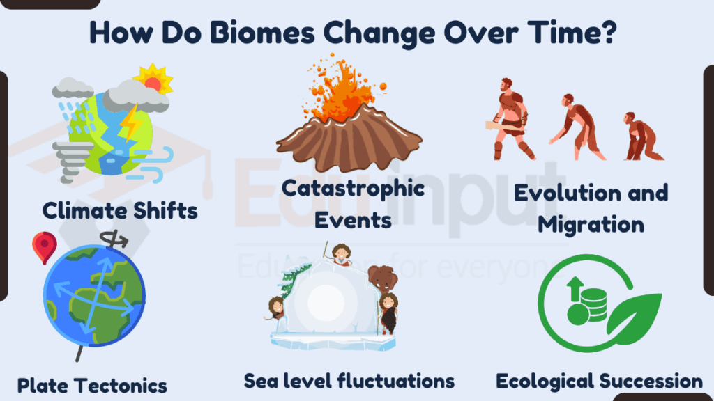 image showing Factors Why Biomes Change Over Time