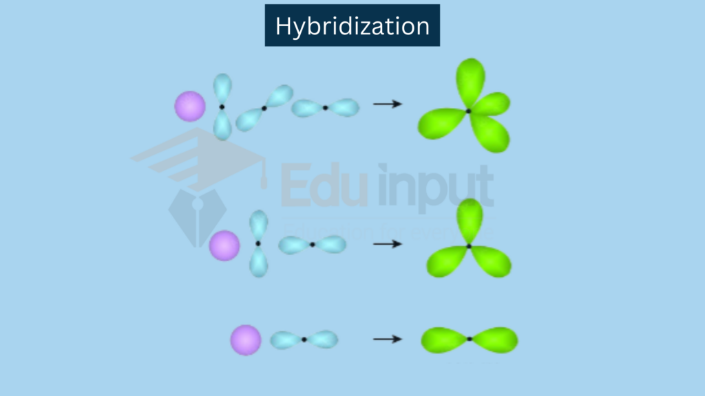 image showing hybradization of different  orbitals