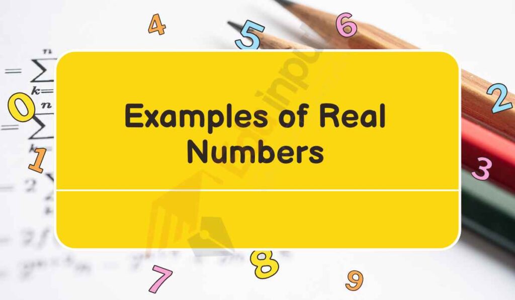 image showing examples of real numbers
