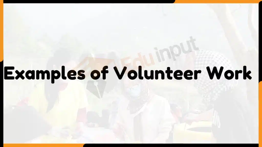 Image showing the Examples of Volunteer Work