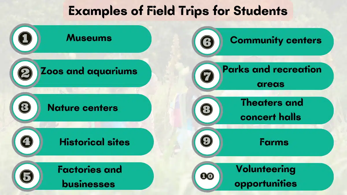 field trips definition and examples