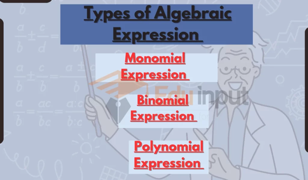 image showing types of algebraic expression