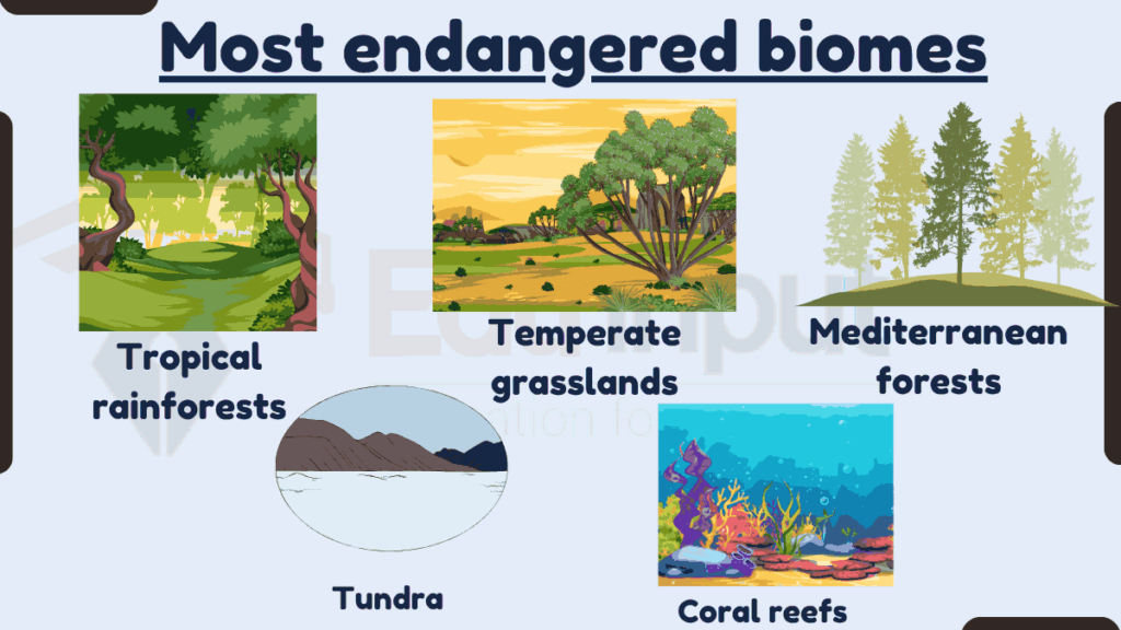 image showing Most endangered biomes