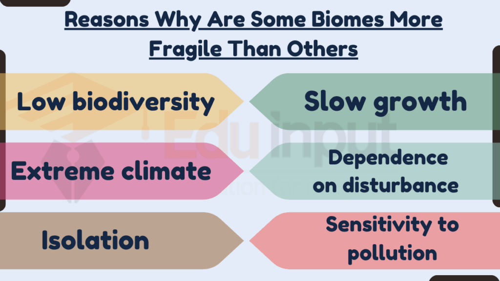 image showing Reasons Why Are Some Biomes More Fragile Than Others