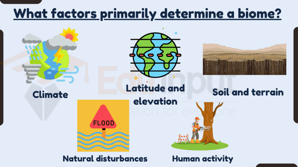 image showing What factors primarily determine a biome?