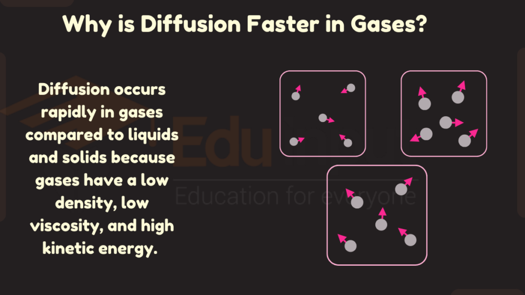 image showing Why is Diffusion Faster in Gases?
