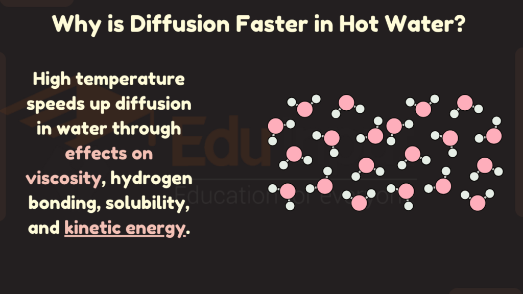 image showing Why is Diffusion Faster in Hot Water?
