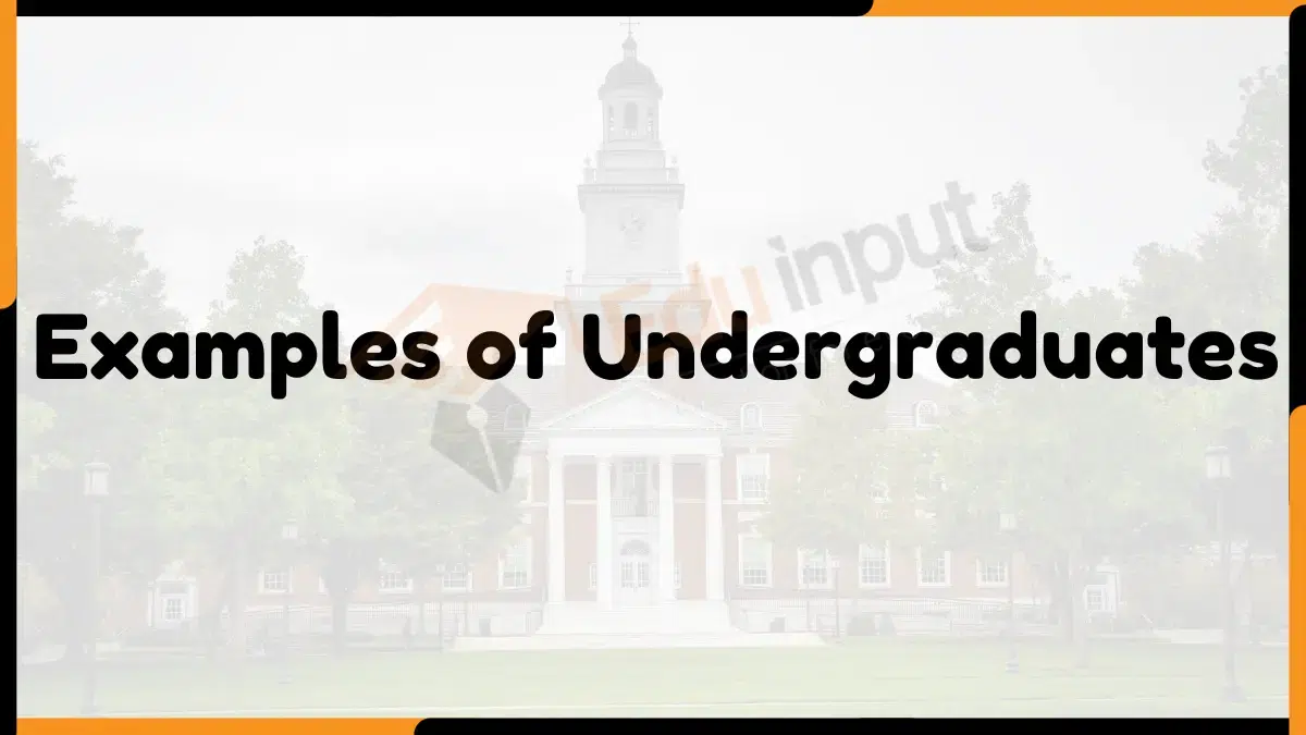 20 Examples of Undergraduates