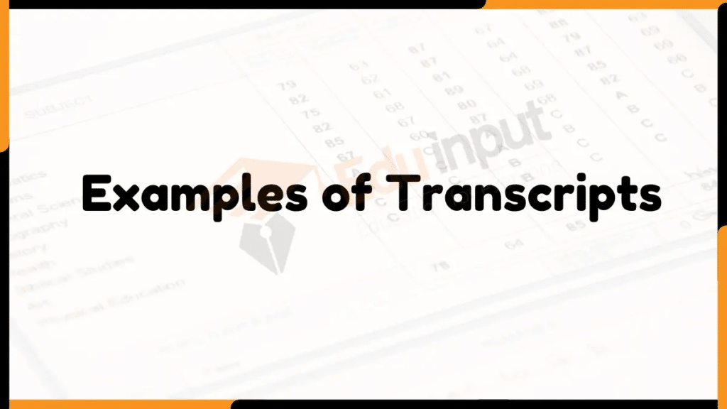 20 Examples of Transcripts
