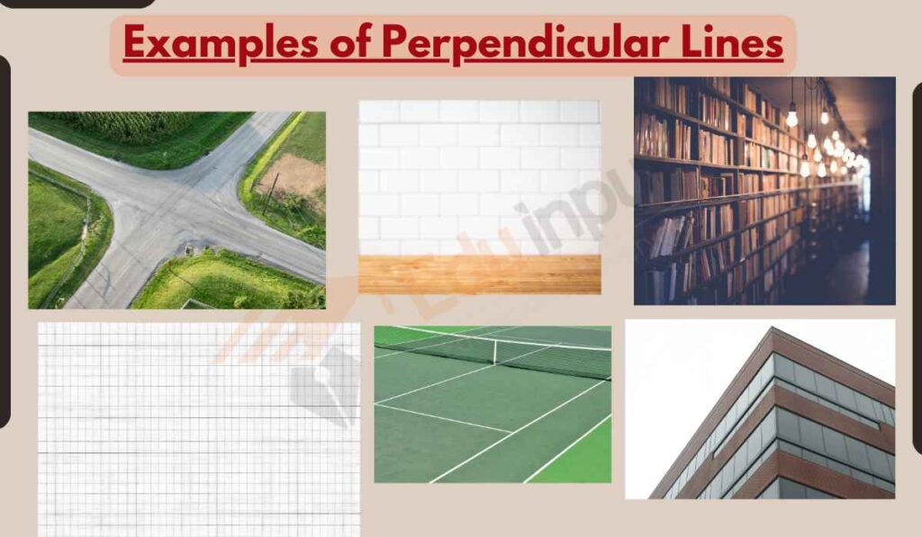 image showing examples of perpendicular lines