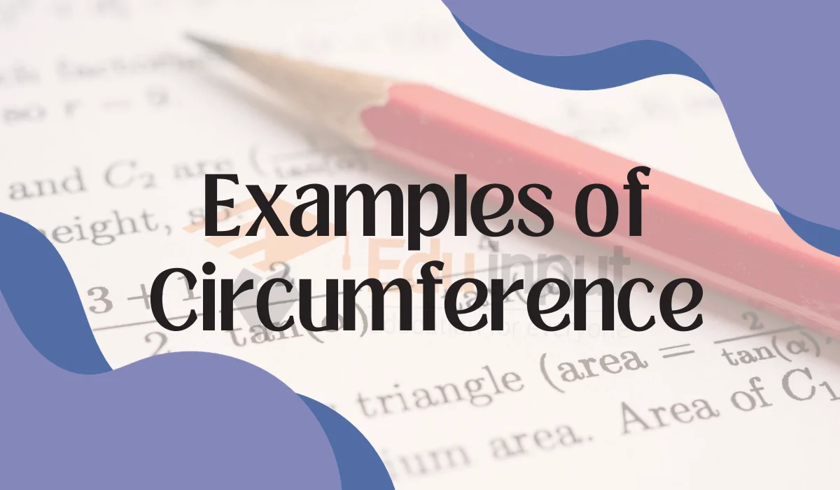10 Examples of Circumference