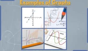 10 Examples of Graphs