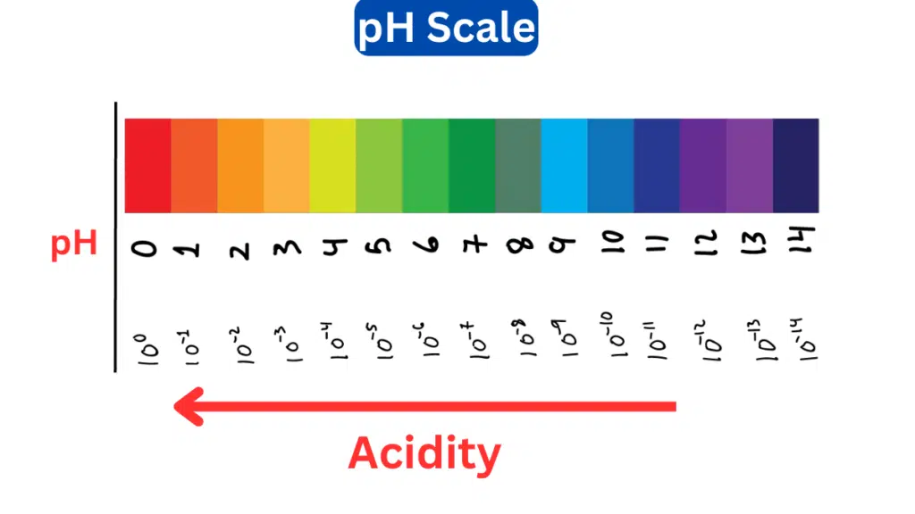 image of pH scale