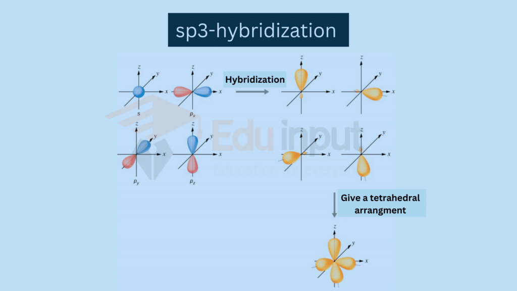 sp3hybridization, definition, explanation, examples and significance