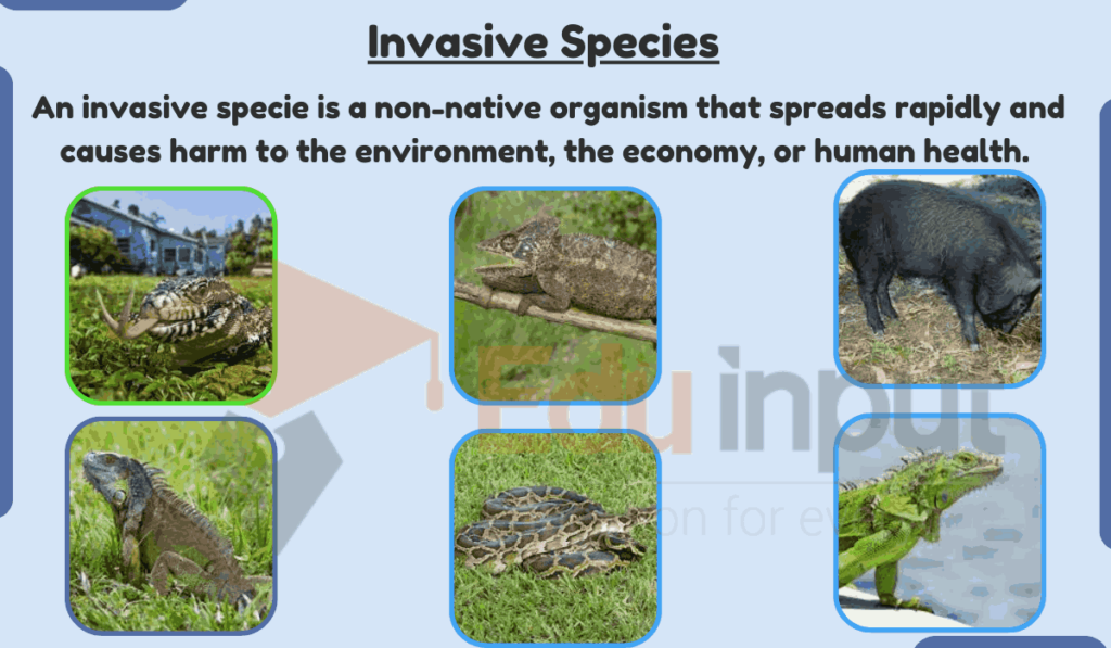 what are Invasive Species image