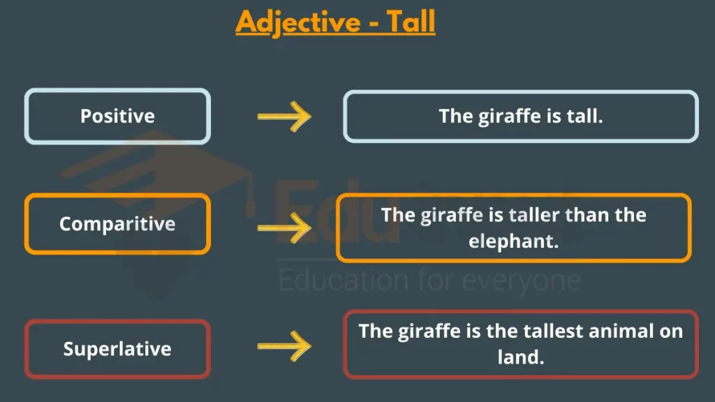 image showing Example of Adjective