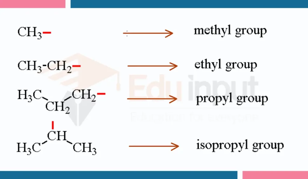 image showing Examples of Alkyl Group