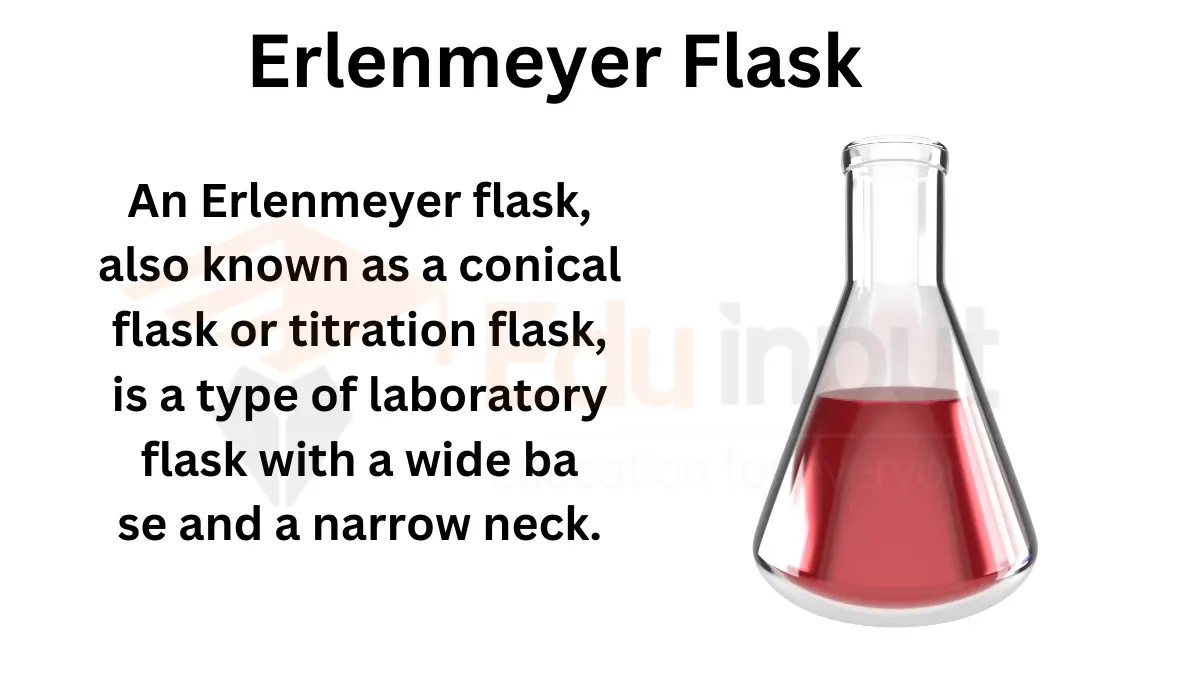 Erlenmeyer Flask-Principle, Parts, Types, and Uses