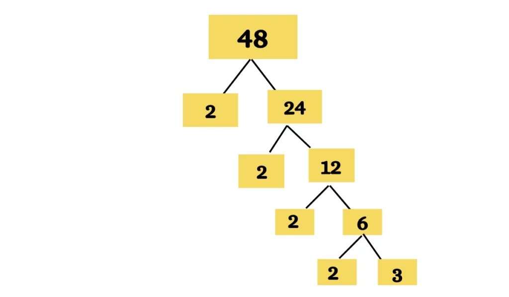 image of 48 prime factor tree