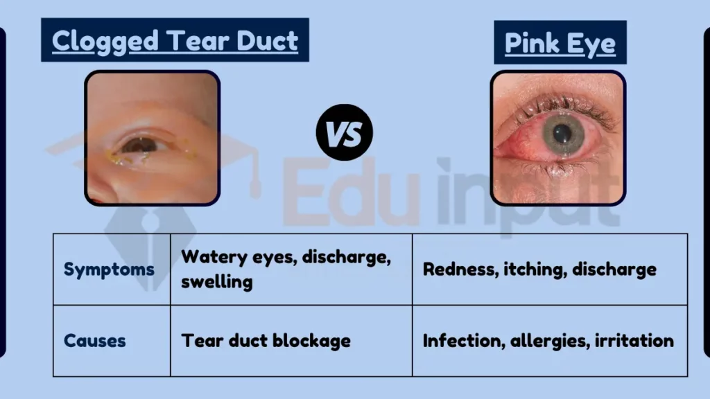 Image showing Difference Between Clogged Tear Duct and Pink Eye