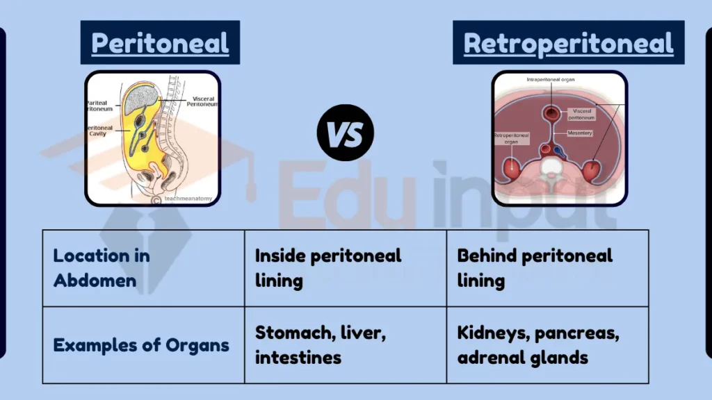 Image showing Difference Between Peritoneal and Retroperitoneal