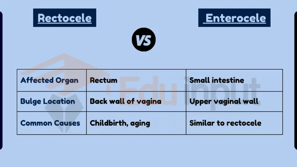 Image showing Difference Between Rectocele and Enterocele