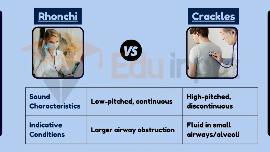 Image showing Difference Between Rhonchi and Crackles